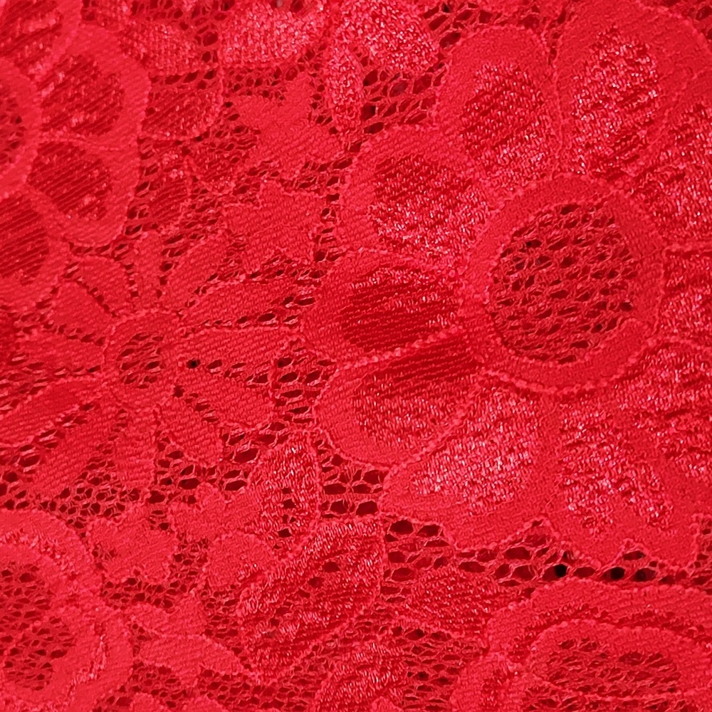 EIEN EUC Red Lace Dress - Picture 12 of 12